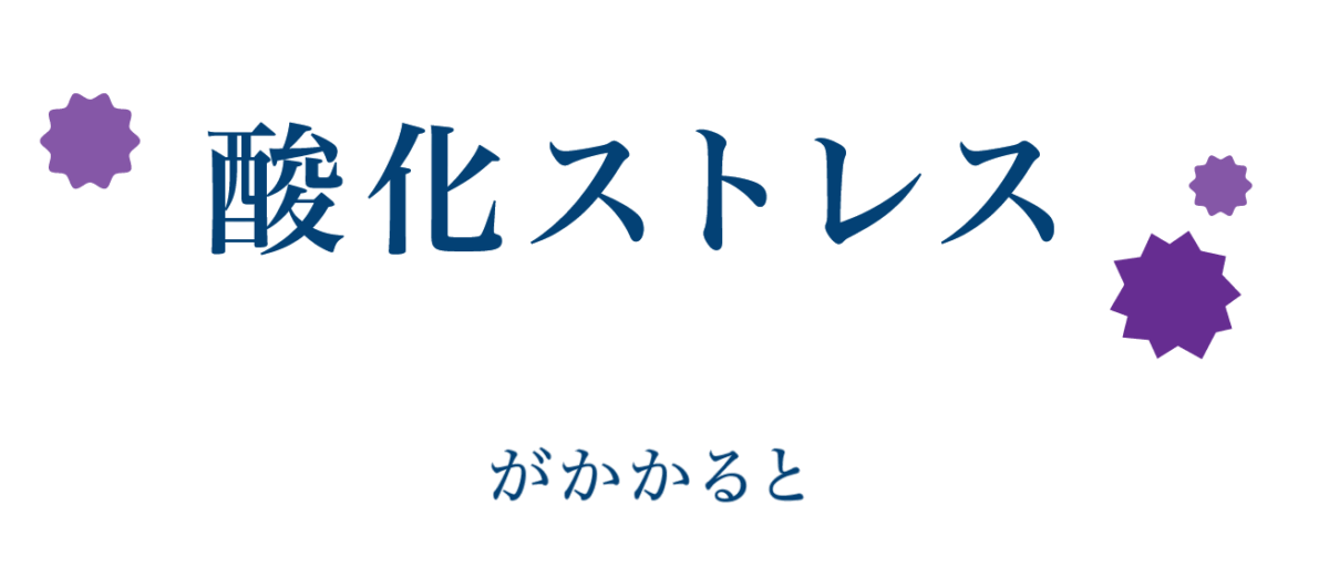 酸化ストレスがかかると